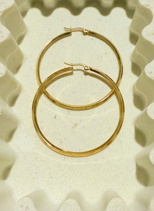Silver hoops