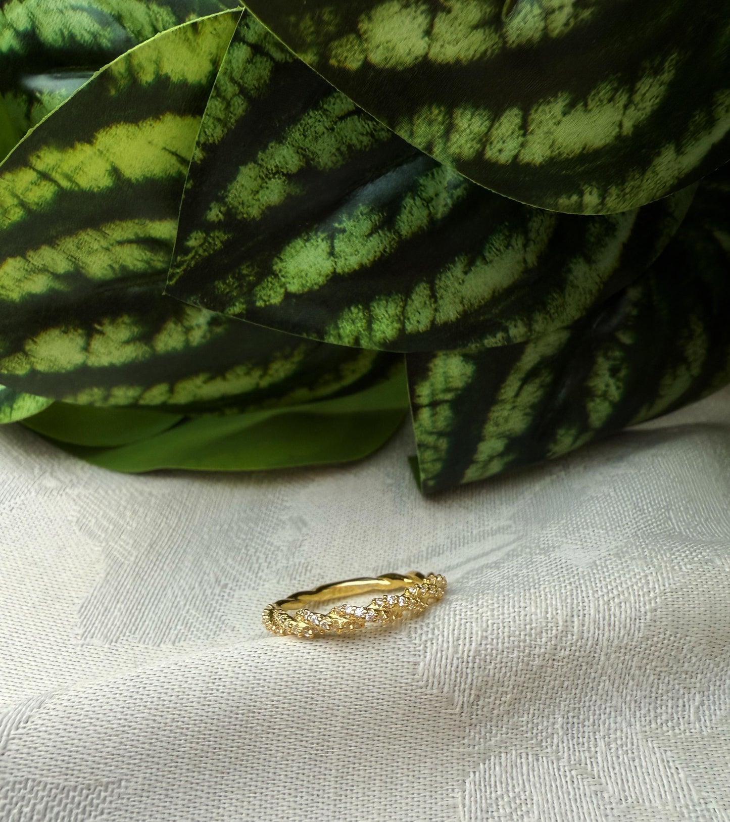 Zircon band